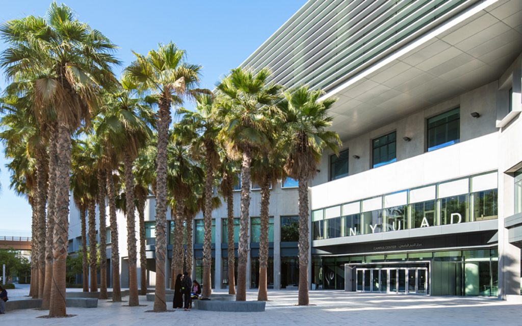 Landscape design for New York University Abu Dhabi tall palm trees in front of building.